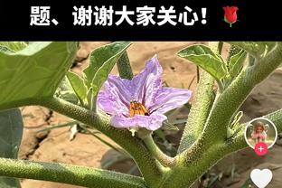 开场手感很热！库兹马首节7投5中得13分2板